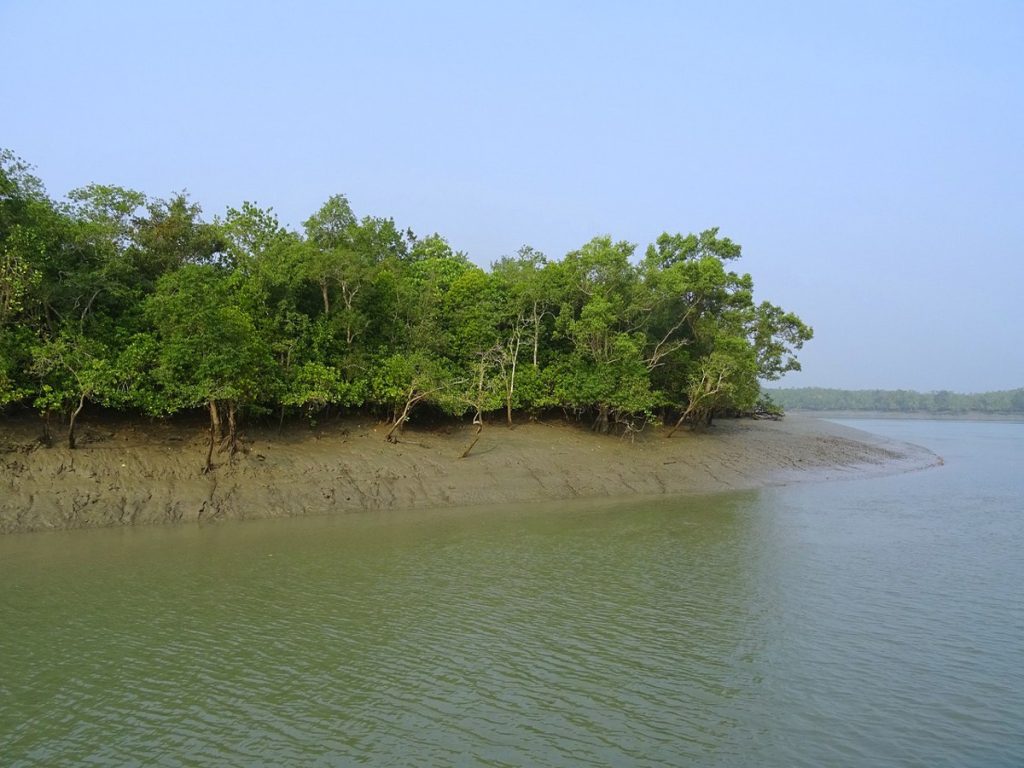 সুন্দরবন