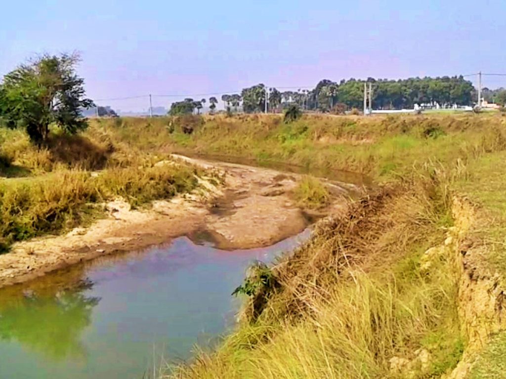 তারাশঙ্কর