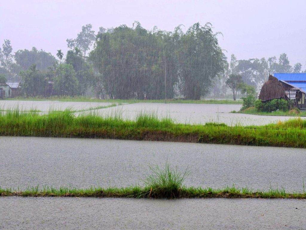 বর্ষা
